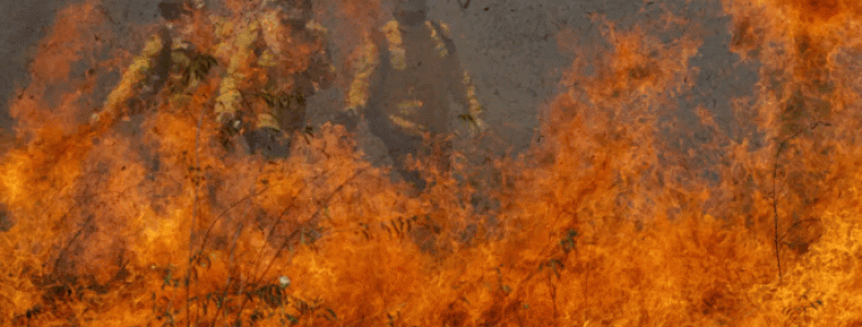 AnyConv.com__incendios_pantanal