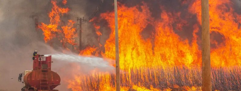 AnyConv.com__2024-08-24-Mais de 80 dos focos de calor em SP estão em áreas de agropecuária